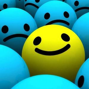 Meet your Posher, Lucinda